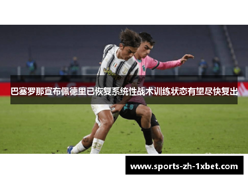 巴塞罗那宣布佩德里已恢复系统性战术训练状态有望尽快复出
